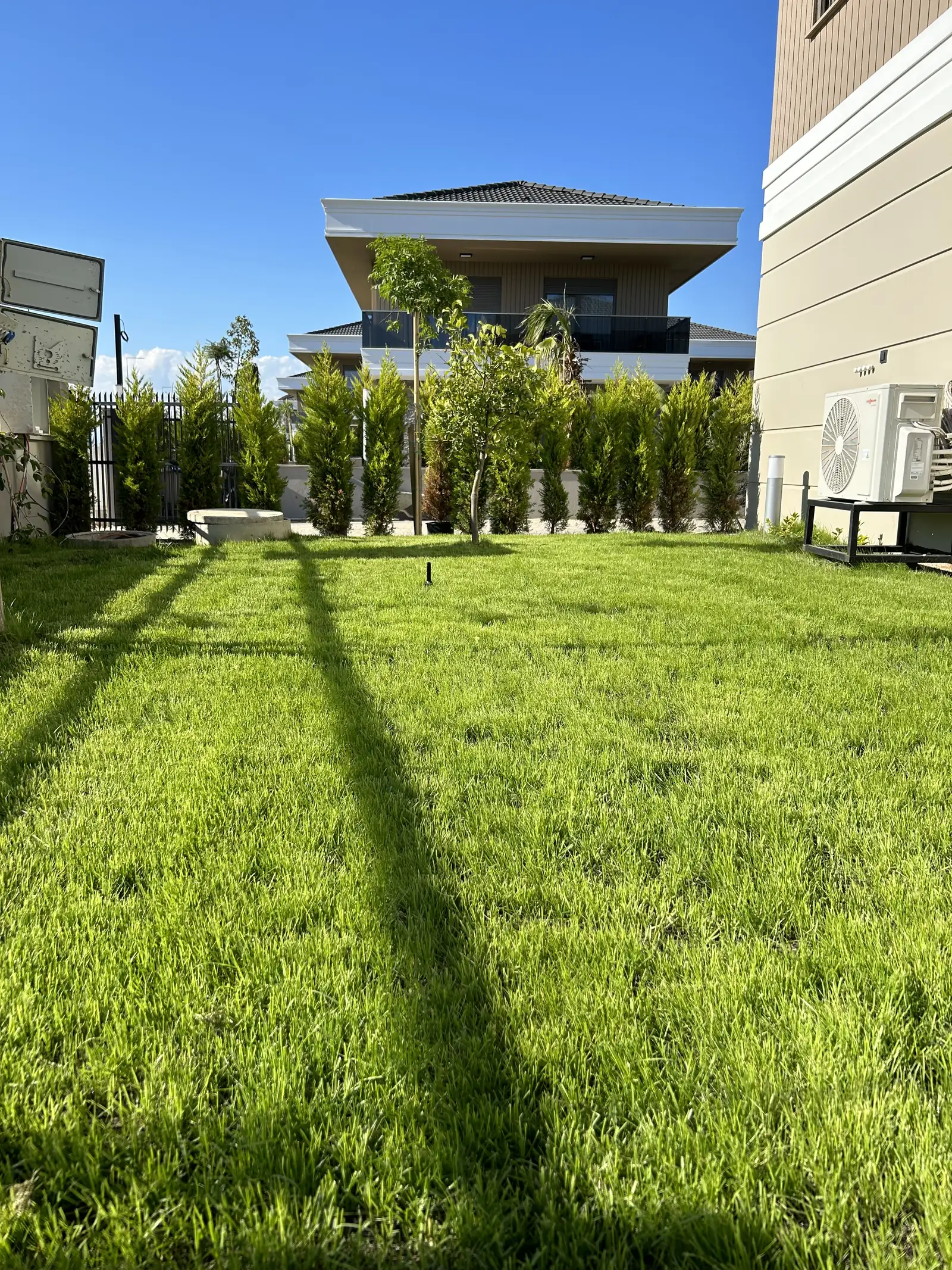 image_6879_7